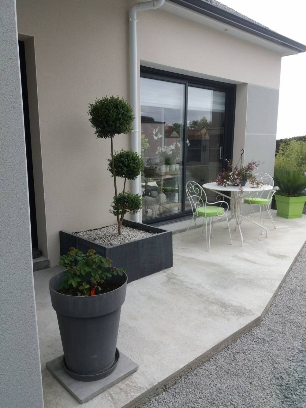 terrasse maison arbuste